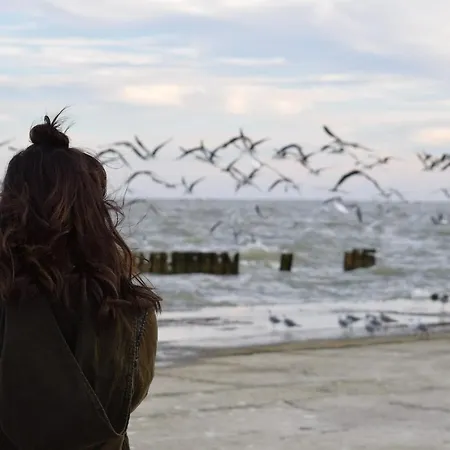 Апартаменты White Pearl 4 05